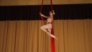 Aerial Silk Act - Aerial dance
