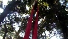 Aerial dance Tecido acrobtico - Bya