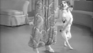 Amazing Tap Dance with trained dog