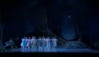 American Ballet Theatre The Dream