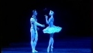 Anastasia Volochkova and Evgeny Ivanchenko Ballet