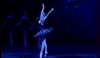 Anstasia Volochkova Evgeny Ivanchenko - Swan lake