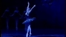 Anstasia Volochkova Evgeny Ivanchenko - Swan lake