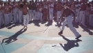 Capoeira Brazilian Dance Fight