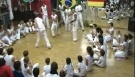 Capoeira Dance and fight