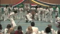 Capoeira dance schow