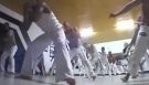 Capoeira the Dance of Freedom