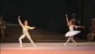 Diana Vishneva and Vladimir Malakhov Sleeping Beauty