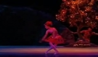 Diana Vishneva in Firebird