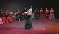 Flamenco Dance Tarde Andaluza