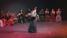 Flamenco Dance Tarde Andaluza