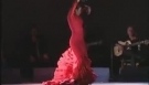 Flamenco danse Sandra Guerrero