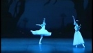 Giselle - Diana Vishneva - Vladimir Malakhov