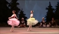 Giselle diana vishneva Diana Vishneva