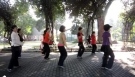 Gongxi Da Jia Guo Xin Nian  - line dance