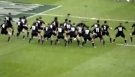 Haka Responses