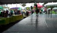 Hardshoe Irish dance 2011