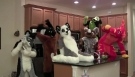 Harlem Shake furry Edition