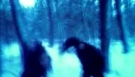 Headbanging-winter