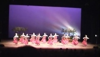 Hula Dance schow 2011
