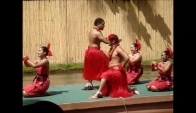 Hula hula dance at Polynesian cultural center schow