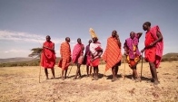 Kenya Africa Maasai Mara Stock Footage