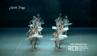 Lago Dos Cisnes - Russian Classical Ballet