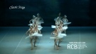 Lago Dos Cisnes - Russian Classical Ballet