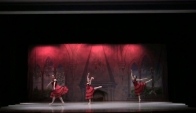 Libertango Ballet - Gulf Coast Ballet