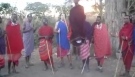 Maasai Dance including Mzungu - Maasai dances