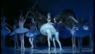 Moscow Classical Ballet - Swanlake