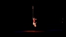 Natural Wings at Aerial Dance