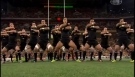 New Zealand All Blacks vs Australia Wallabies Haka
