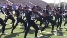 New Zealand Ironblacks Haka Dance Ignites
