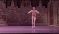 Nutcracker Pdd - Royal Ballet - Alexandra Ansanelli