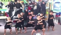 Nz Maori Haka performed by Cute Kiwi Kids