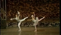 Pas de Deux from Tchaikovsky's The Nutcracker