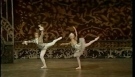 Pas de Deux from Tchaikovsky's The Nutcracker