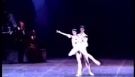 Roberto Bolle - Balletto Don Quijote