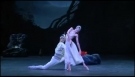Roberto Bolle and Svetlana Zakharova Ballet 1