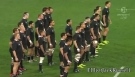 Rugby All Blacks Nz Haka