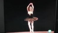 Susan Jaffe Black Swan Variation