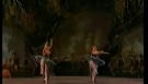 Swan Lake-Passo a Quattro - Leanne Benjamin