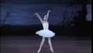 Swan Lake Susan Jaffe Vladimir Malakov