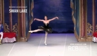 Swan Lake by Russian Classical Ballet