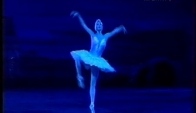 Swan lake - Anastasia Volochkova - Ballet