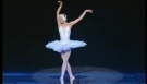 The Dying Swan - Anastasia Volochkova