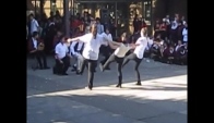 Thomastown Secondary College Multicultural Dance Greeks