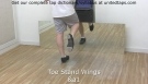 Toe Stand Wings Tap Dance Move n by Rod Howell