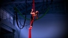 Year old aerial dancer and choreographer
